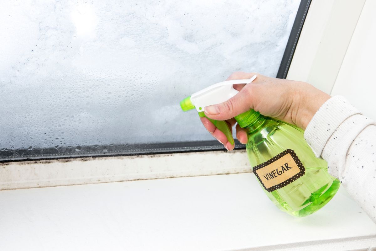 Woman hand spraying white vinegar solution natural cleaner on ugly unhealthy mold on home window. Natural eco friendly lifestyle cleaning products in home.