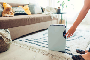 Read more about the article How To Vent Your Dehumidifier