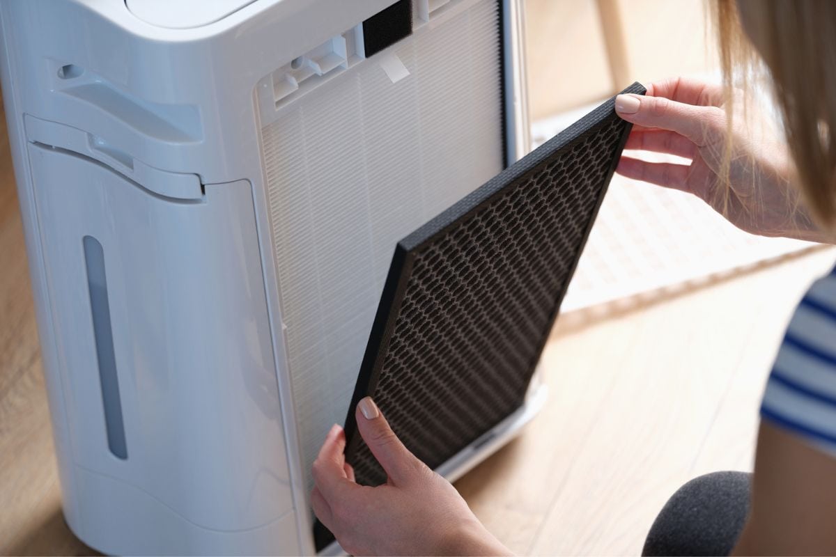 A woman is changing a replaceable filter of an air purifier, close-up. Household appliances for home, dust and odor removal