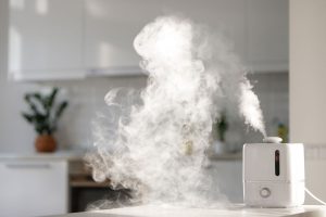 Read more about the article How To Use An Equate Humidifier [Step By Step Guide]