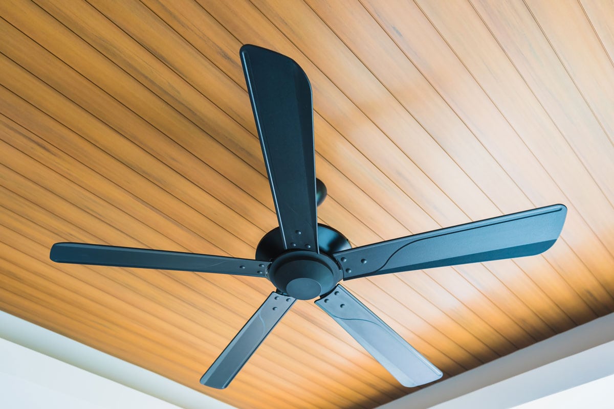 Electric Ceiling fan decoration interior of room