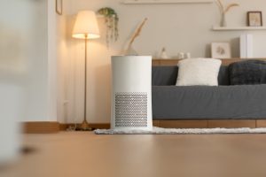 Read more about the article Molekule Air Purifier Vs. Blueair – Which Is Better? [Pros, Cons, & Differences]