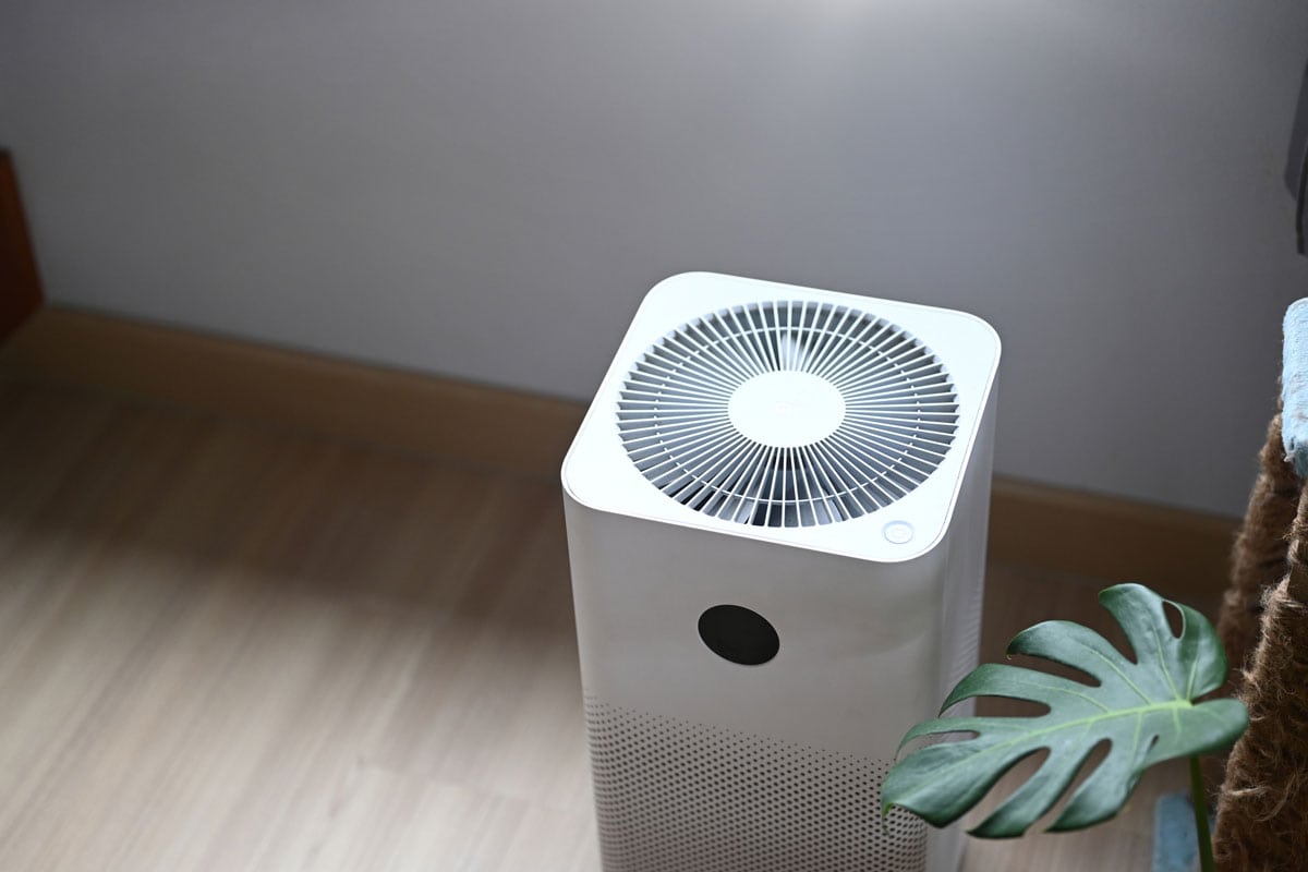 Air purifier in comfortable living room with house plant on the wooden floor