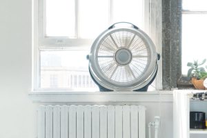 Read more about the article How To Disassemble & Clean A Wind Machine By Lasko Fan [Step By Step Guide]
