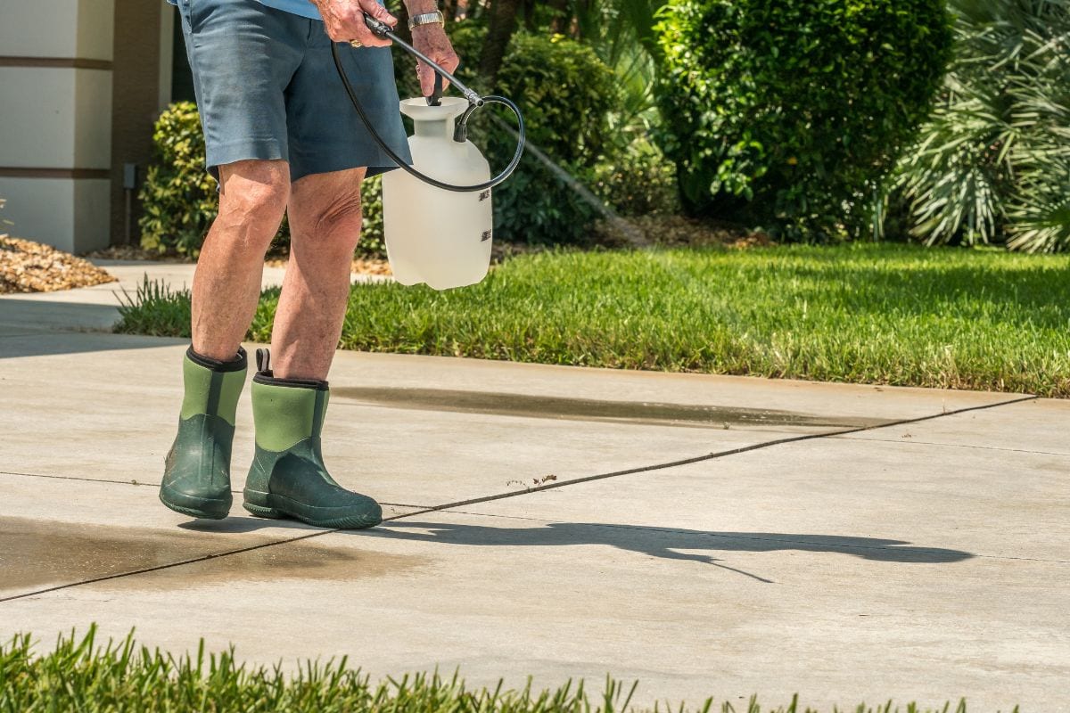 Man using lawn and garden pressure chemical sprayer to spray bleach on concrete driveway.